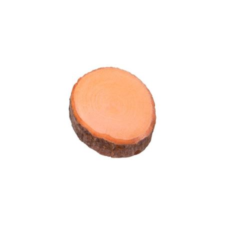 Набор срезов ольхи СРЕЗ-10, d 3-5 см, 10 шт., Blumentag, СРЕЗ-10-olha  (Цены)
