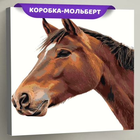 Картина по номерам «Животные: конь на белом фоне, портрет», EVEE-art-0523  (Цены)