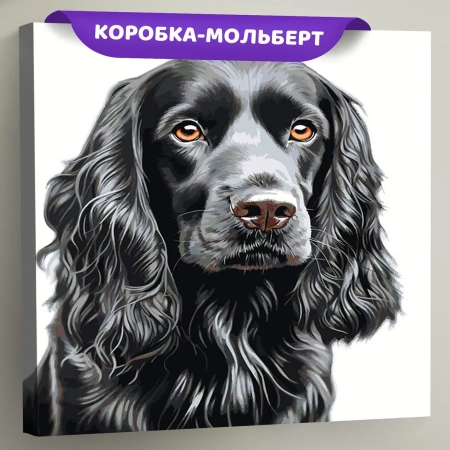 Картина по номерам «Собака Спаниель черная 2», EVEE-spaniel-0008  (Цены)