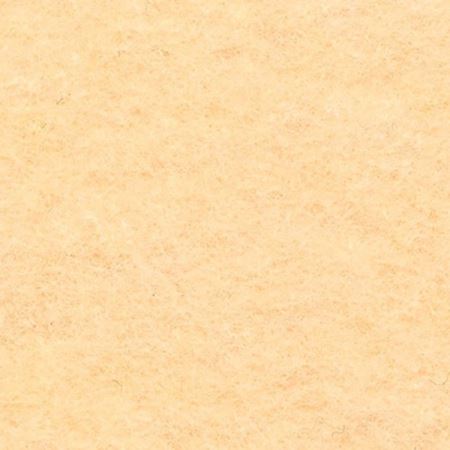 Фетр декоративный, мягкий, 1 мм, 30х45 см ± 2 см, 1 шт., цвет: №CH661 светло-бежевый, Blitz, FKC10-30-45-№CH661  (Цены)