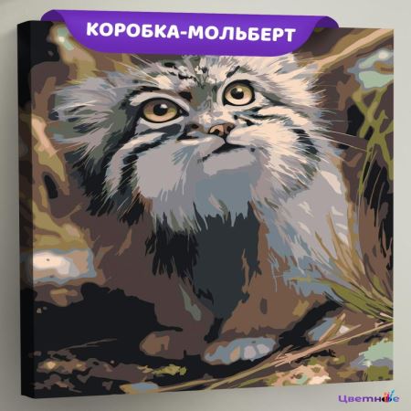 Картина по номерам Пушистый кот манул, EVEE-art-1084  (Цены)