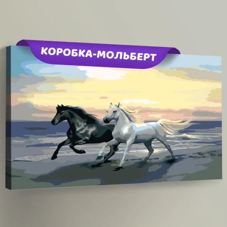 Картина по номерам «Чёрная и белая», KTMK-978231  (Цены)