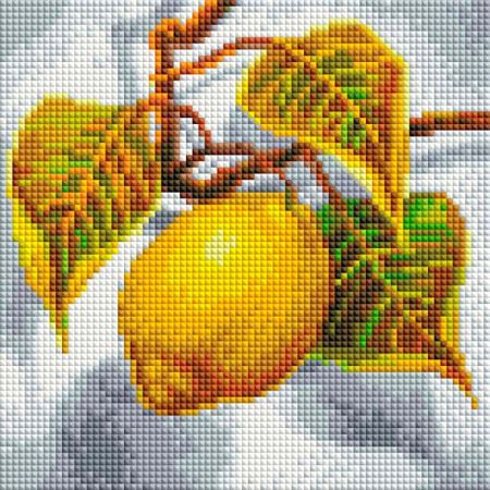 Алмазная вышивка «Лимон», 2006-ST-S  (Цены)